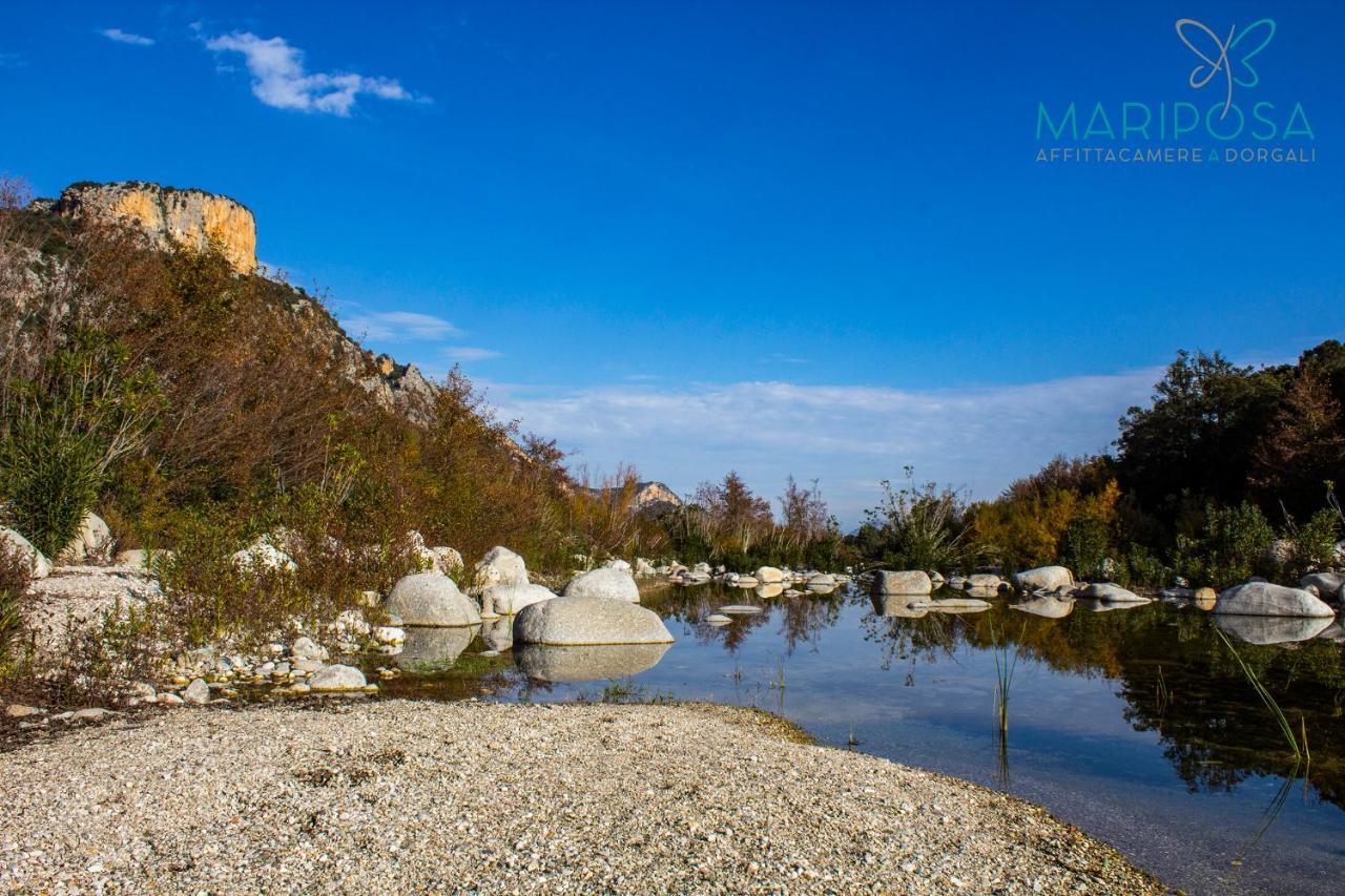 Affittacamere Mariposa Dorgali Exterior foto